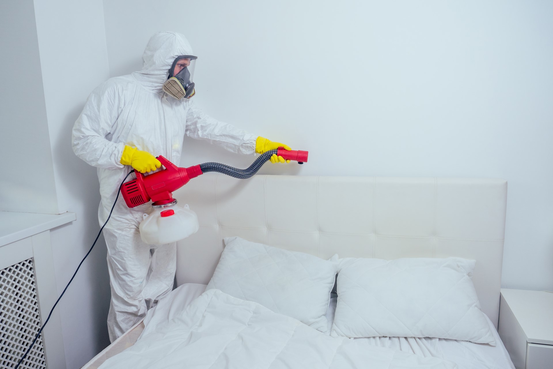 A suited pest control worker doing bed bug treatment by spraying behind a headboard.